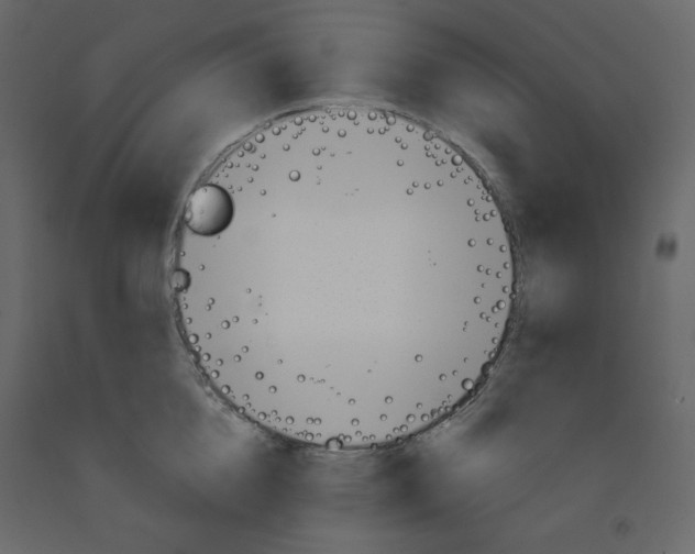 X0000091950856200710041006