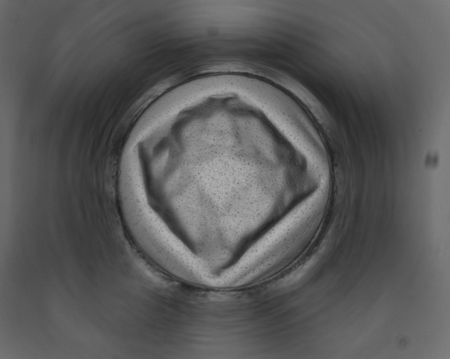 X0000091950857200710041006