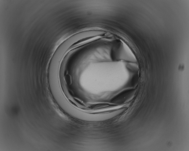 X0000091950858200710041006