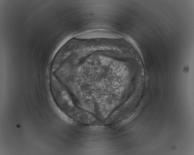 X0000091950859200710041006