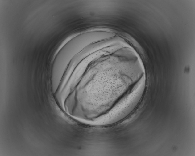 X0000091950860200710041006
