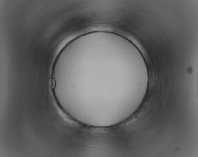 X0000091950861200710041006