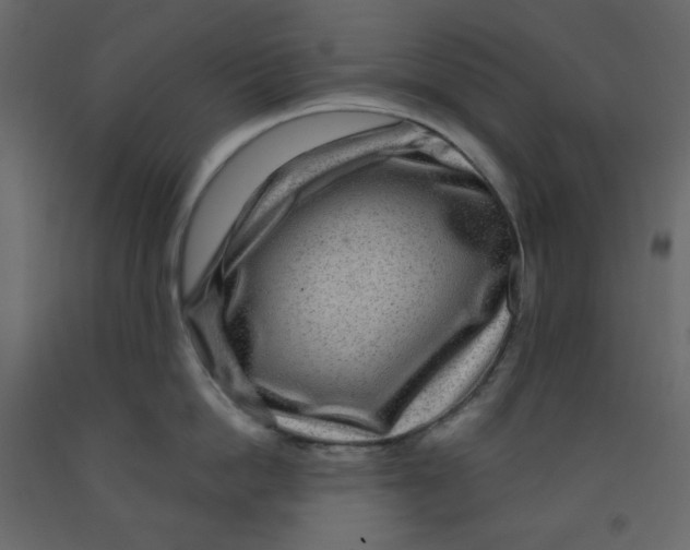X0000091950862200710041006
