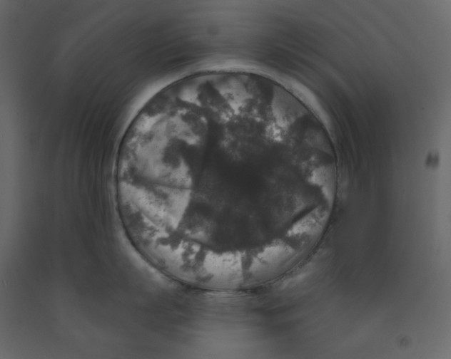 X0000091950863200710041006
