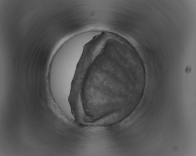X0000091950864200710041006