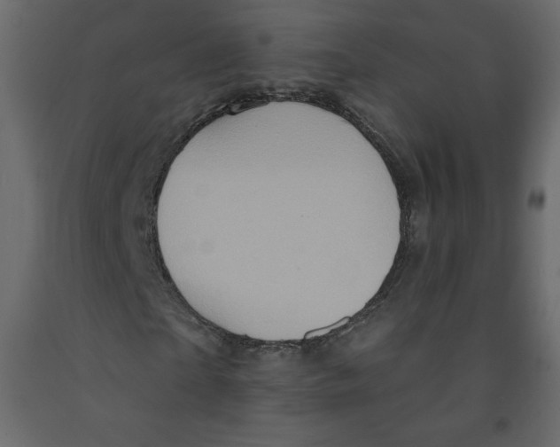 X0000091950865200710041006
