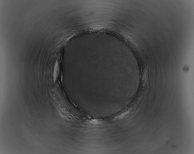 X0000091950868200710041006