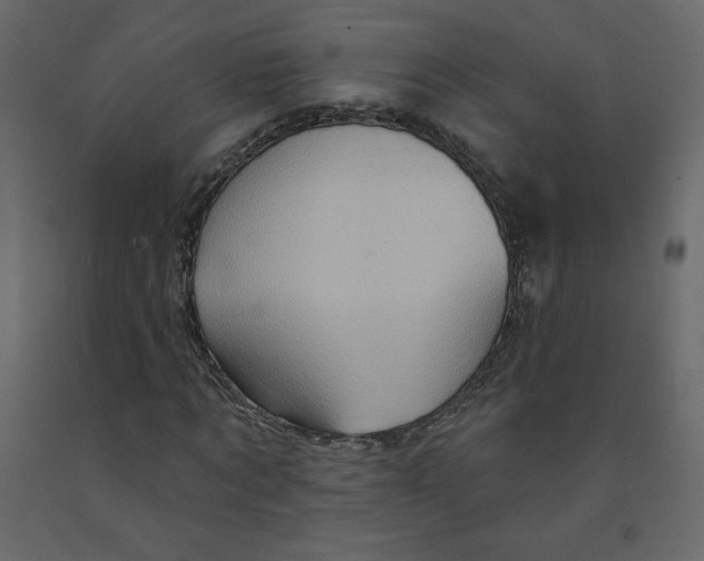X0000091950869200710041006