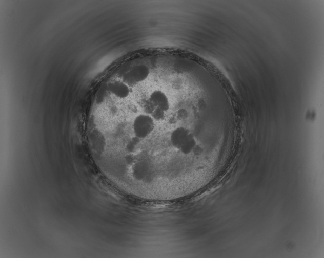 X0000091950871200710041006