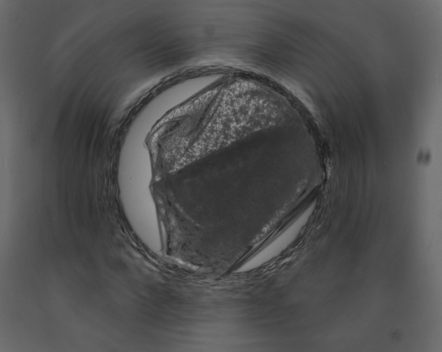X0000091950872200710041006