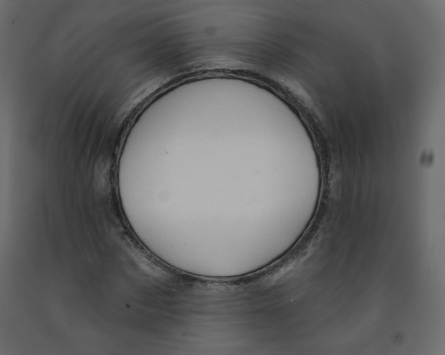 X0000091950873200710041006