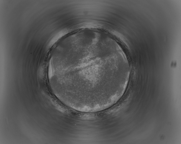 X0000091950874200710041006
