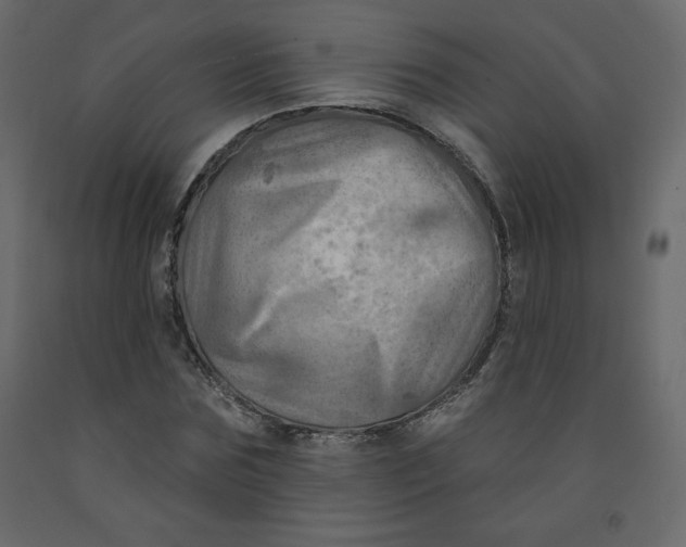 X0000091950875200710041006