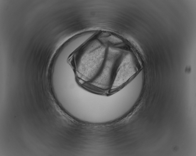 X0000091950876200710041006