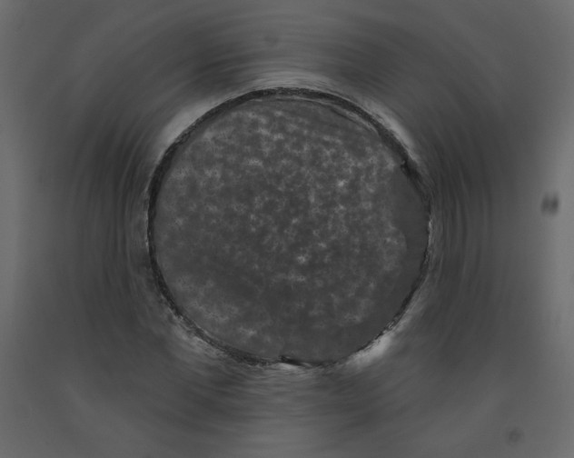X0000091950877200710041006