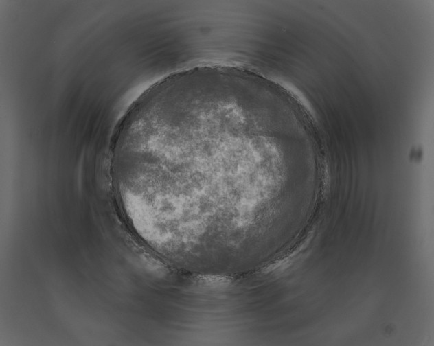 X0000091950878200710041006