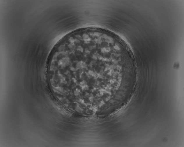 X0000091950879200710041006