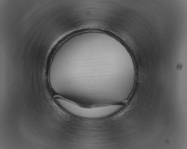 X0000091950880200710041006