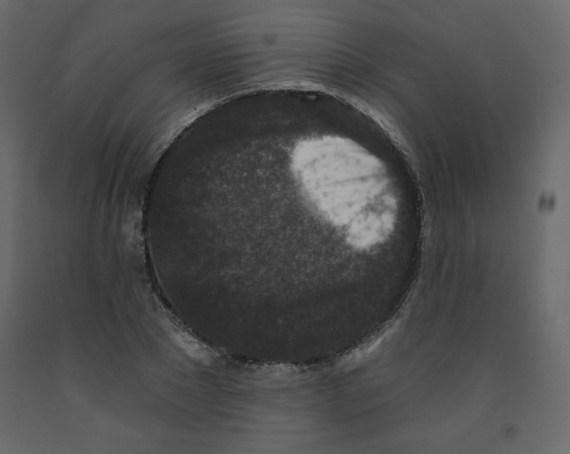 X0000091950881200710041006