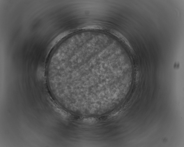 X0000091950882200710041006