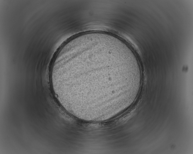 X0000091950883200710041006