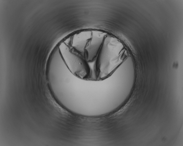 X0000091950884200710041006