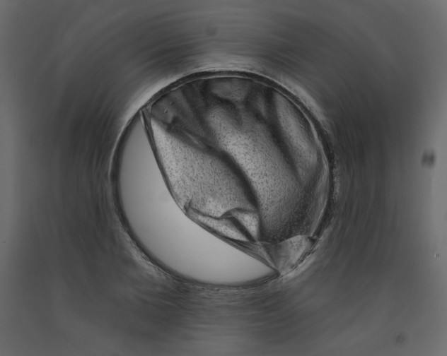 X0000091950885200710041006