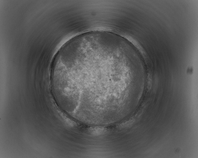 X0000091950886200710041006