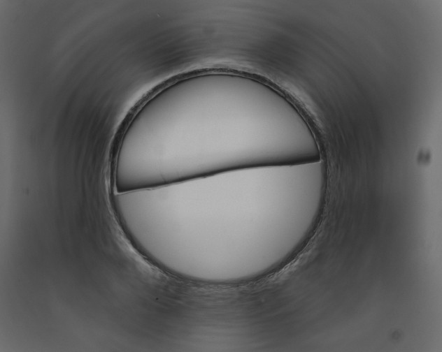 X0000091950888200710041006