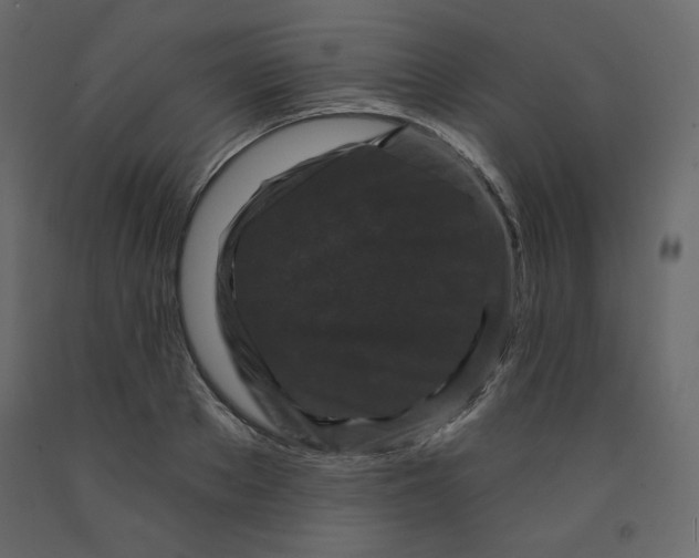 X0000091950889200710041006