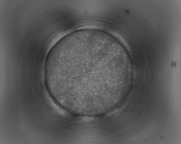 X0000091950890200710041006