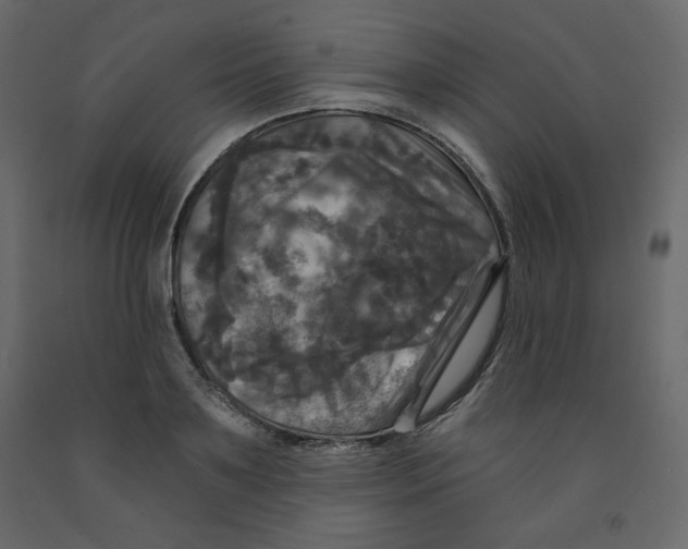 X0000091950891200710041006