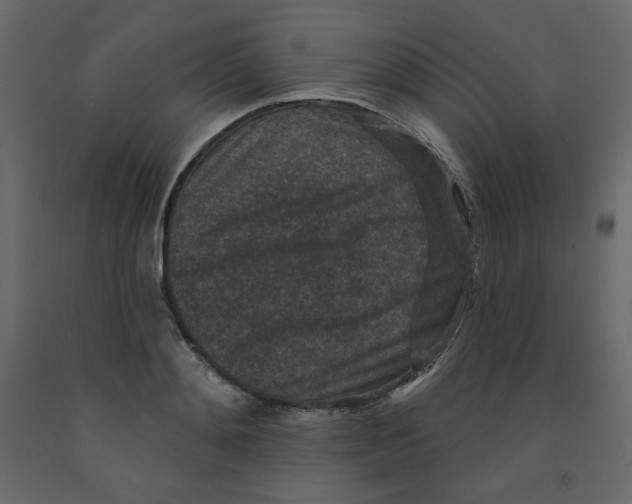 X0000091950892200710041006