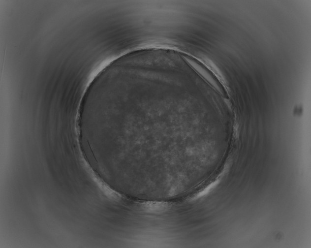 X0000091950893200710041005
