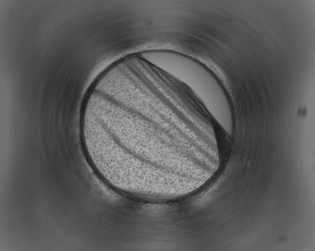 X0000091950894200710041005