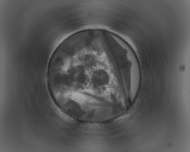 X0000091950895200710041005