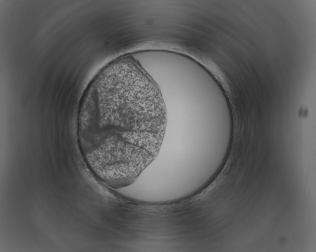 X0000091950896200710041005