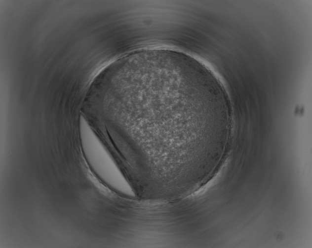 X0000091950897200710041005