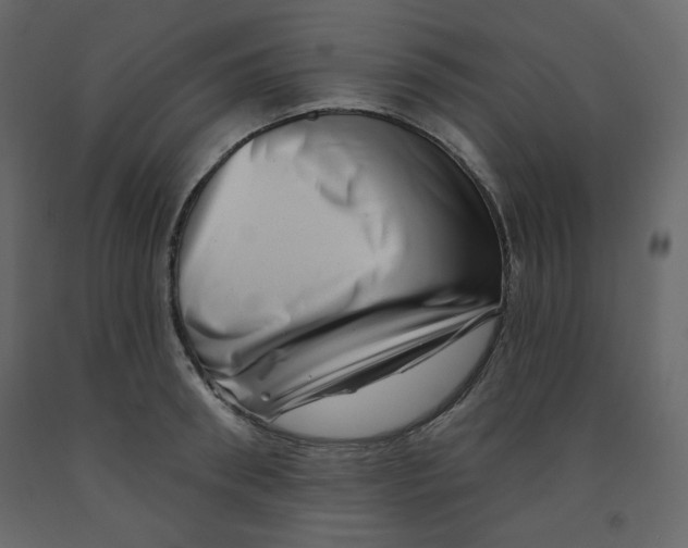 X0000091950898200710041005
