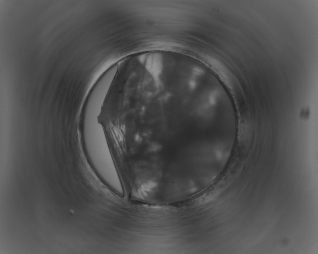 X0000091950899200710041005