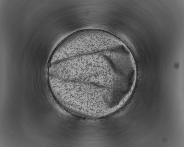 X0000091950900200710041005
