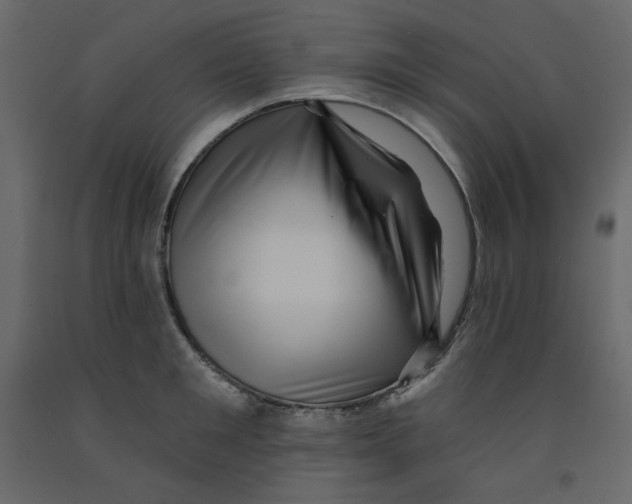 X0000091950901200710041005