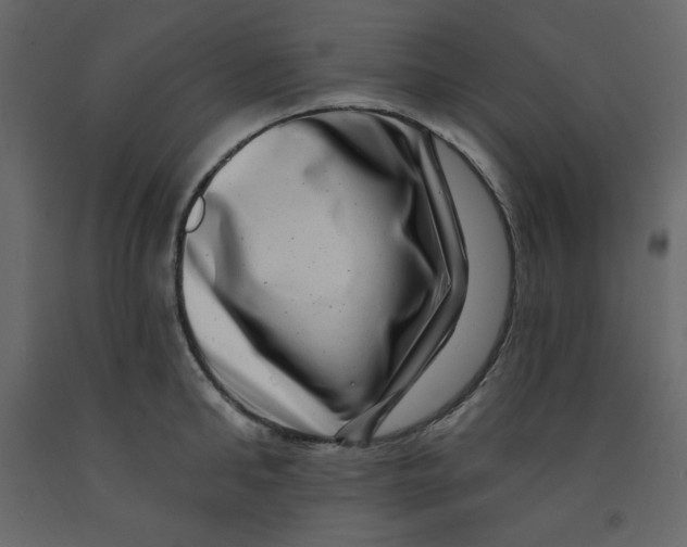 X0000091950902200710041005