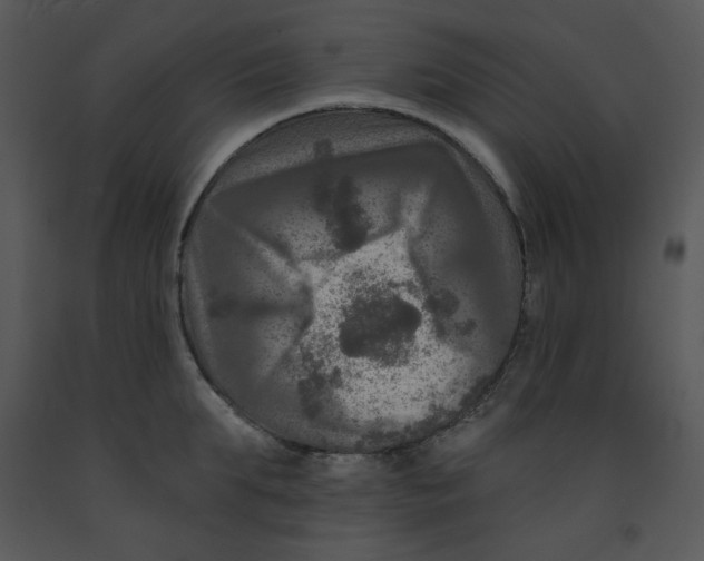 X0000091950903200710041005