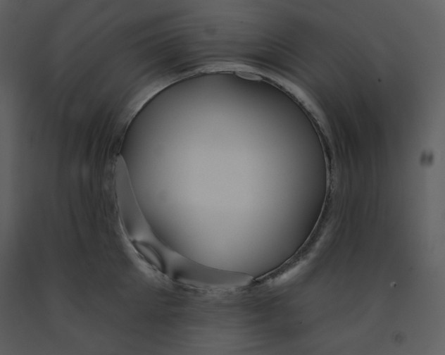 X0000091950905200710041005