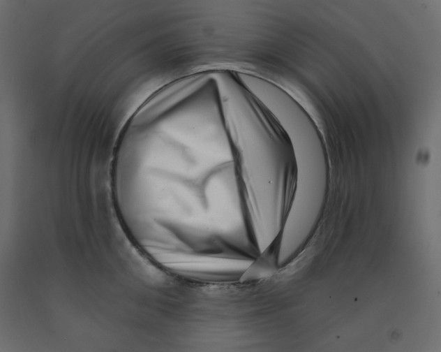 X0000091950906200710041005