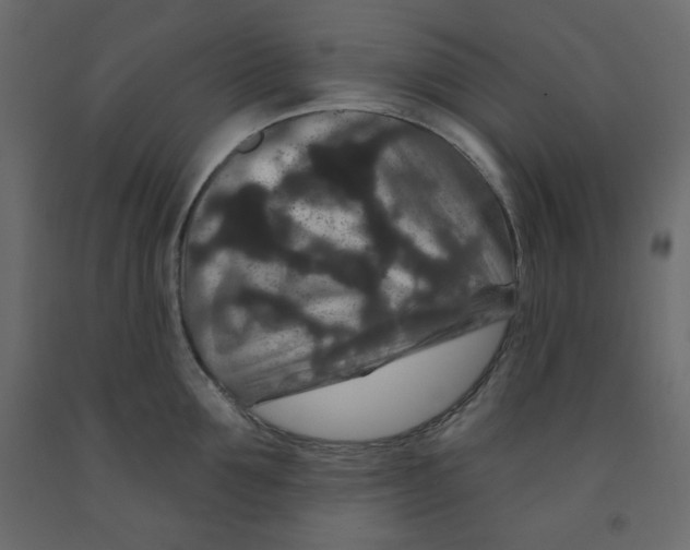 X0000091950907200710041005