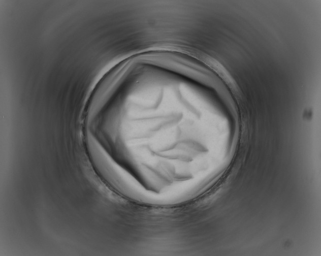 X0000091950908200710041005