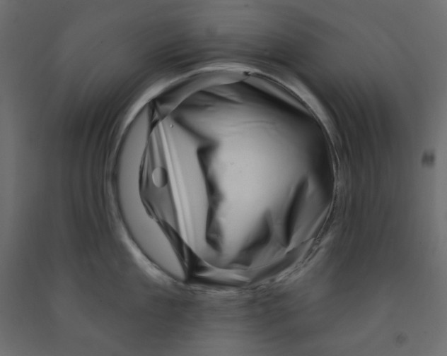 X0000091950909200710041005