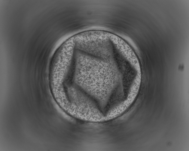X0000091950910200710041005